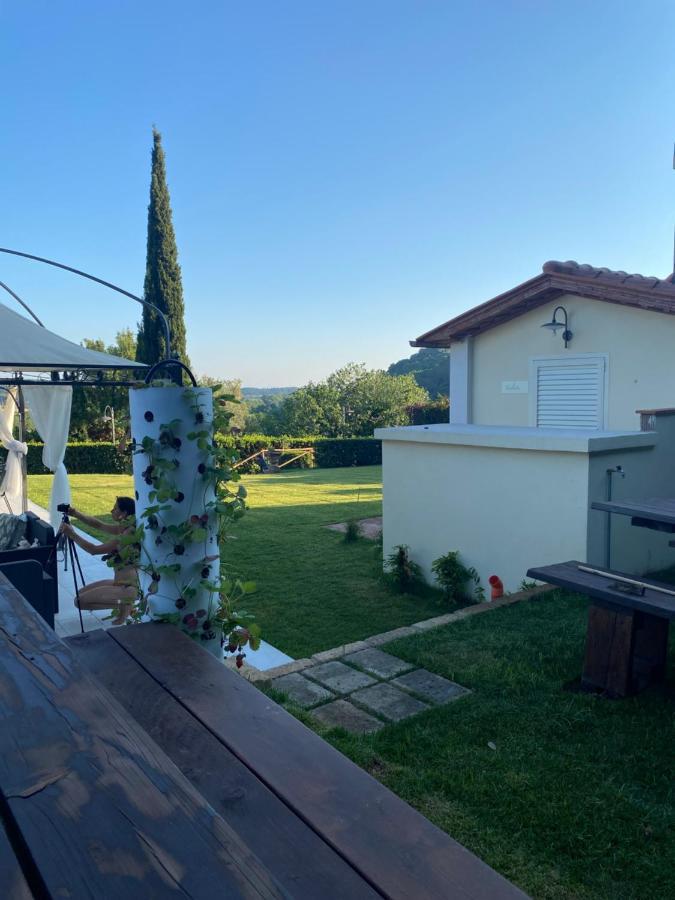 Il Casolare Val Di Mare Daire Riparbella Dış mekan fotoğraf