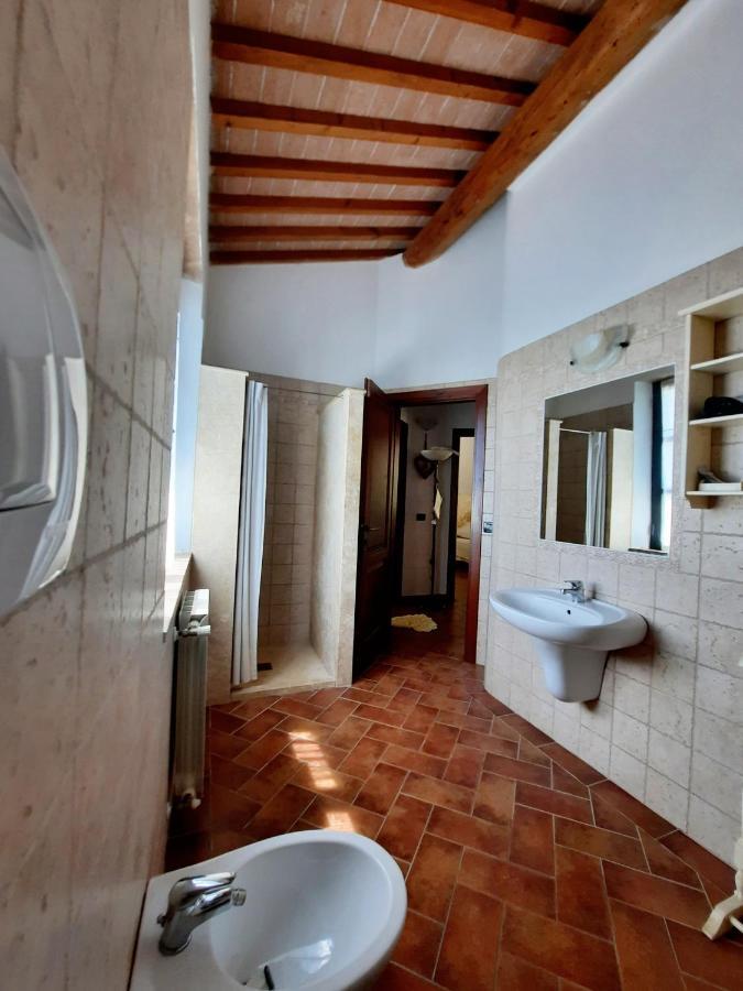 Il Casolare Val Di Mare Daire Riparbella Dış mekan fotoğraf