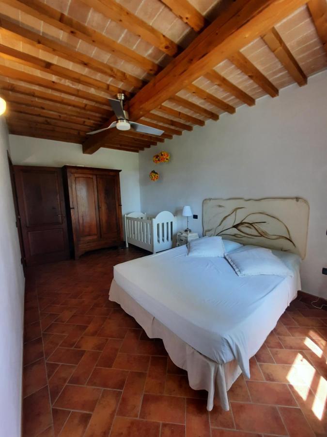 Il Casolare Val Di Mare Daire Riparbella Dış mekan fotoğraf