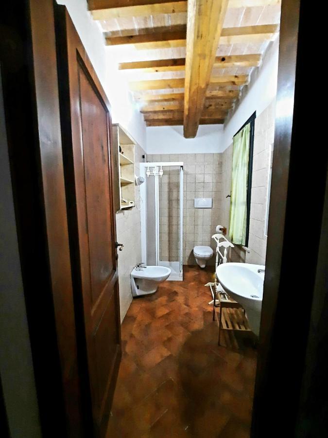 Il Casolare Val Di Mare Daire Riparbella Dış mekan fotoğraf